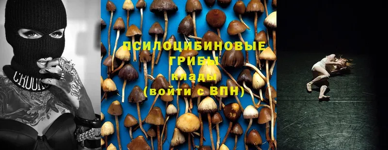 даркнет сайт  Северобайкальск  Галлюциногенные грибы Magic Shrooms 